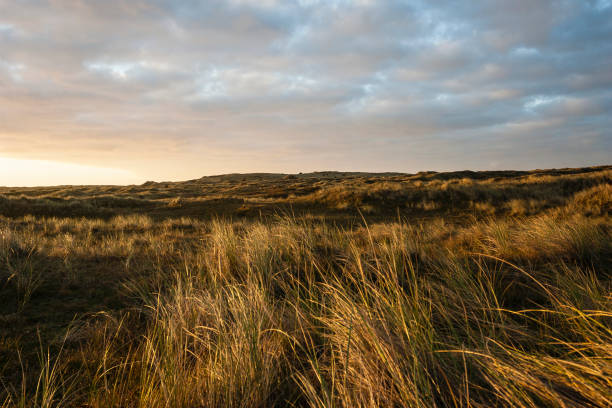 istock Duinen op Vlieland, Dunes at Vlieland 1498947479