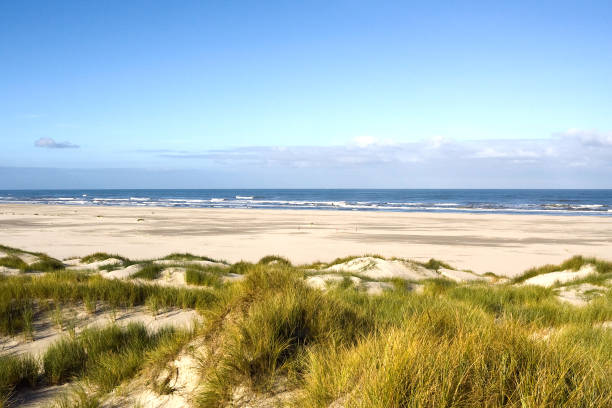 istock Strand op Vlieland, Beach at Vlieland 1498947551