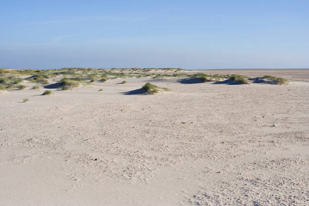 istock Duinen op Vlieland, Dunes at Vlieland 1498947580