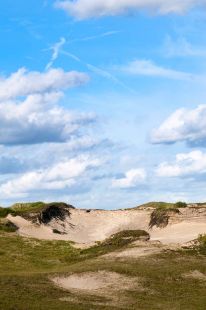 istock Landscape at the Noordduinen 1498948375