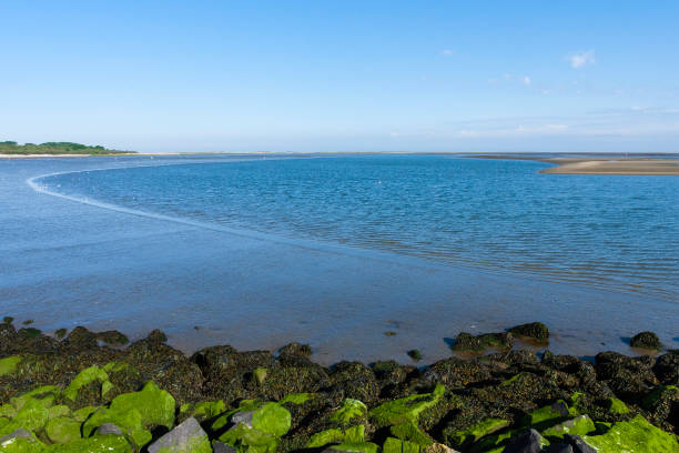 istock Landscape at Goeree-Overflakkee 1498949200