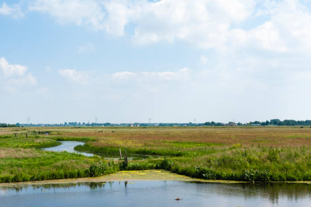 istock Nature area De Wilck 1498952022