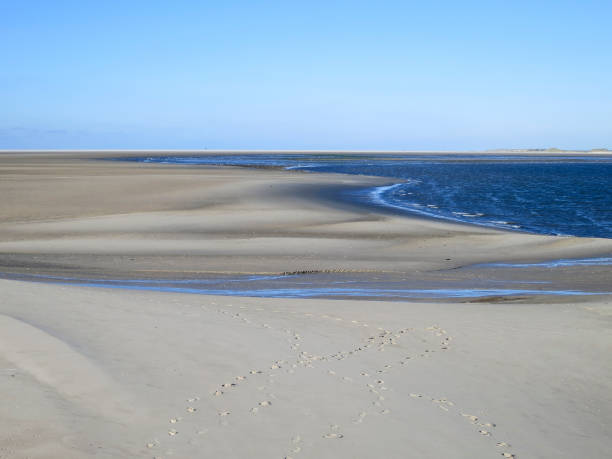 istock Getijdengebied Vliehors, Tidal plains Vliehors 1498952484