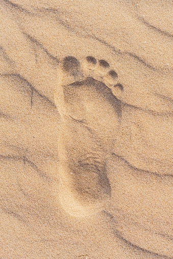 Footprints in the beach sand