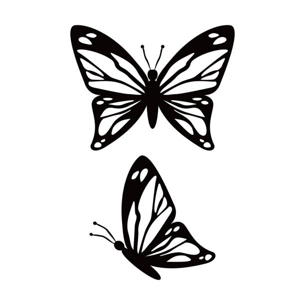 나비 실루엣 디자인 - butterfly monarch butterfly spring isolated stock illustrations