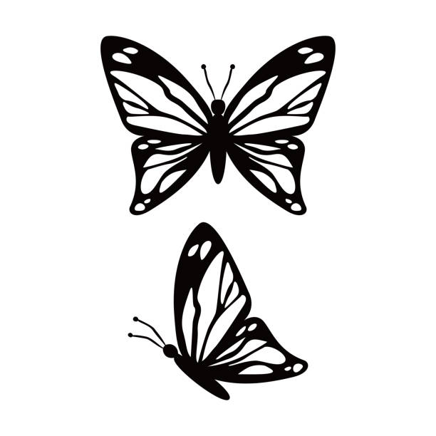 butterfly silhouette design butterfly silhouette design vector illustration. insect sign and symbol use for wedding decoration. butterfly wing patterns stock illustrations
