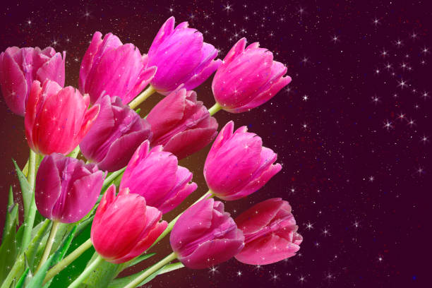 istock Bouquet of purple tulips. 1498965285