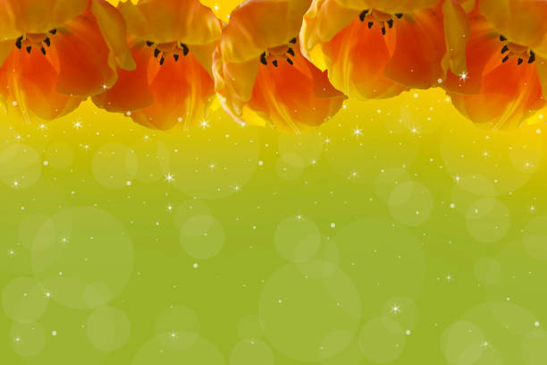 Green background with yellow tulips at the top.