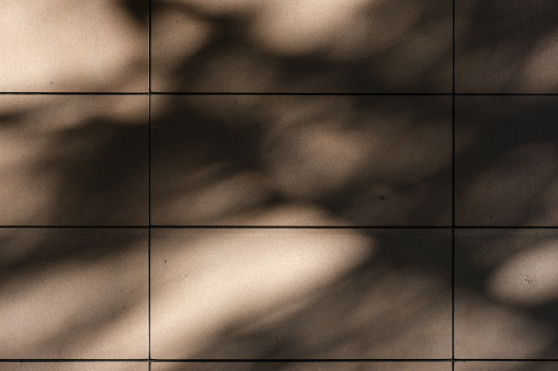 Granite block wall with shadows from a nearby tree.