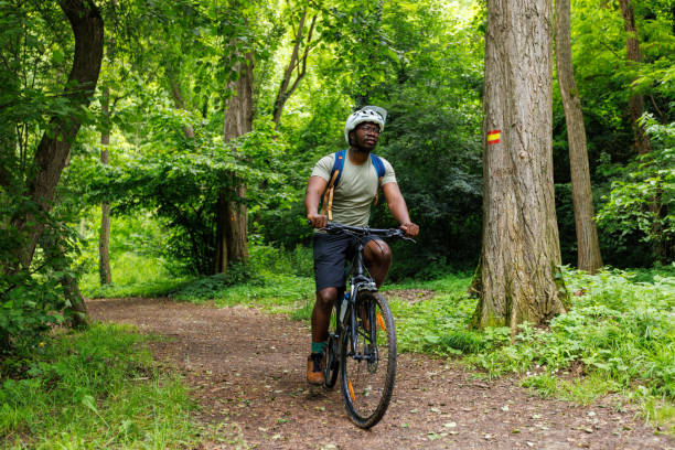 istock A Cyclist Rides A Bicycle In A Mountain Forest 1498972316
