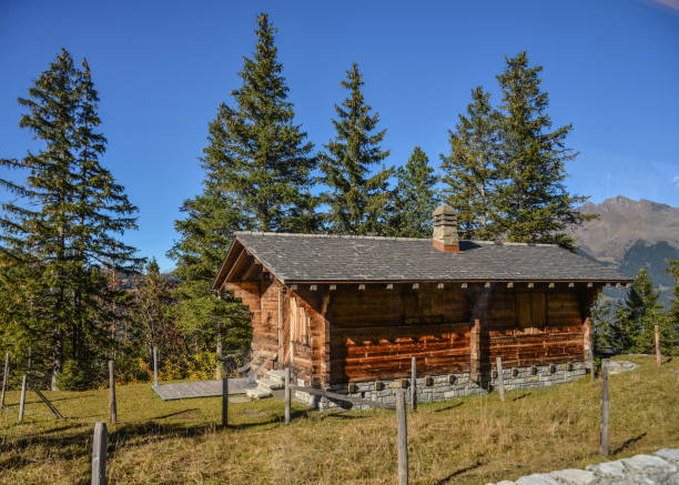 istock Mountain town in Grindelwald, Switzerland 1498977437