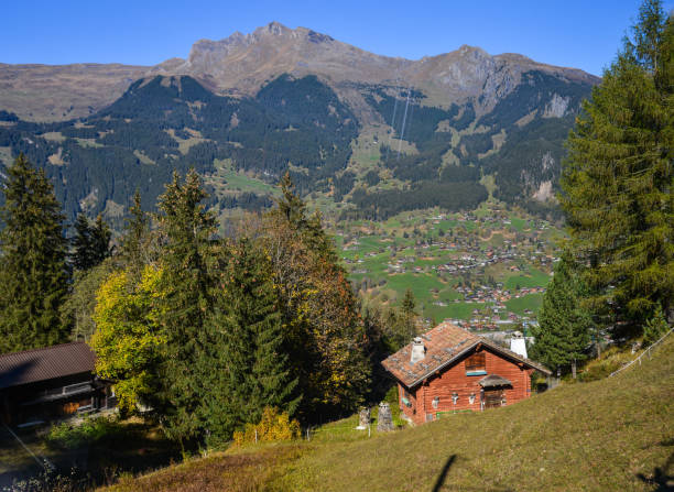 istock Mountain town in Grindelwald, Switzerland 1498978835