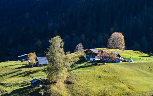 istock Mountain town in Grindelwald, Switzerland 1498978853