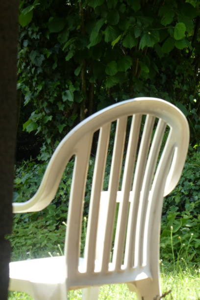 istock zoom on garden lounge chair 1498982337