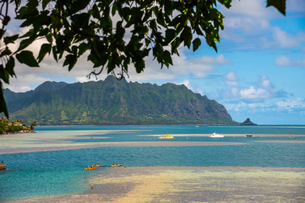 istock Stunning Hawaiian landscape on Oahu, Honolulu during spring time. 1498982442
