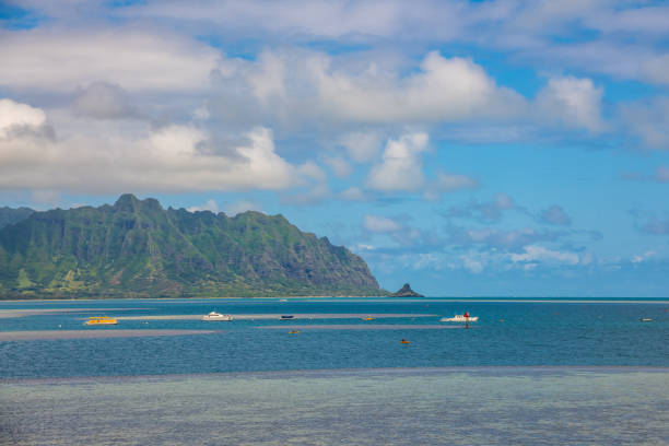istock Stunning Hawaiian landscape on Oahu, Honolulu during spring time. 1498982444