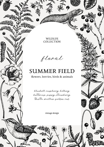 Retro style floral frame design. Vintage summer background. Wildlife sketches. Wildflowers botanical illustration. Hand-drawn field flowers, birds, and animals for wedding invitation, card, decoration