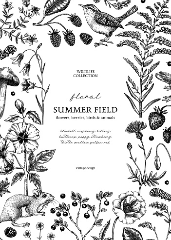 Retro style floral border design. Vintage summer background. Wildlife sketches. Wildflowers botanical illustration. Hand-drawn field flowers, birds, and animals for wedding invitation, decoration