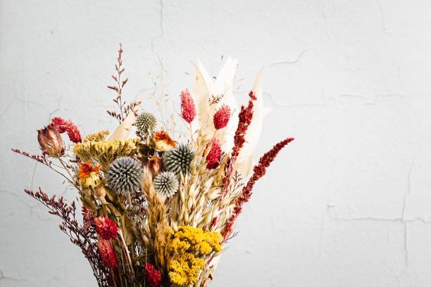 istock Bouquet of wild flowers 1498984176