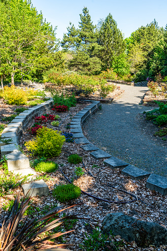 A flower garden in South Seattle, Washington.