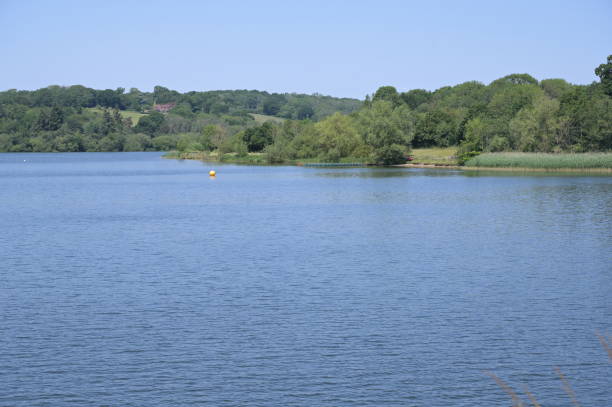 istock Ardingly Reservoir is full. June 16th 2023. 1498989589