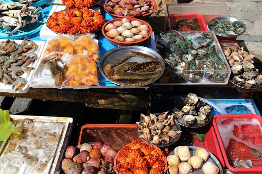 Fish market in Busan, South Korea. Various sea food at Jagalchi Fish Market.