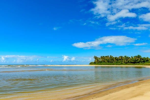 istock Paradise and deserted tropical beach 1498999036