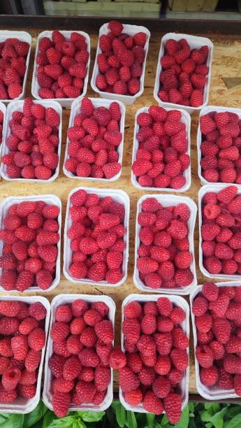 istock Baskets with raspberries at the bazaar 1498999061