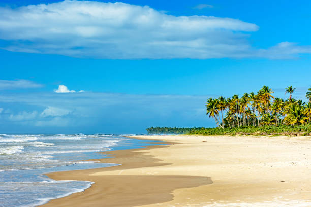 istock Sunny summer day on the idyllic beach of Sargi 1498999065