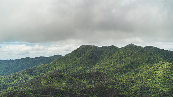 Panoramic view of El Yunque National Forest, Puerto Rico. Luquillo Mountains and overcast sky