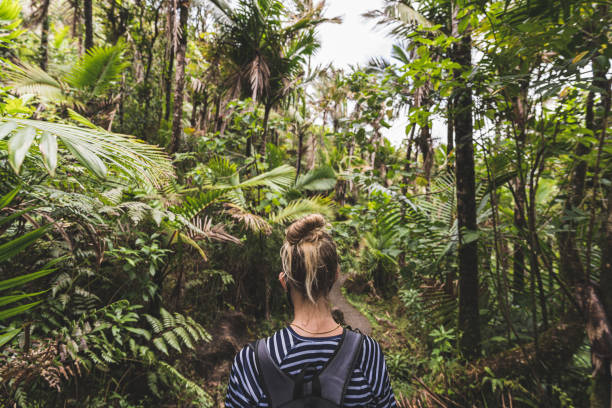 istock Female hiker with backpack trekking on footpath in tropical rainforest 1499000286