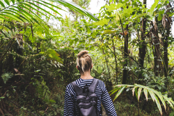 istock Female hiker with backpack trekking on footpath in tropical rainforest 1499000292