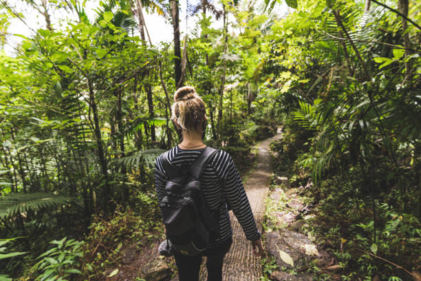istock Female hiker with backpack trekking on footpath in tropical rainforest 1499000309