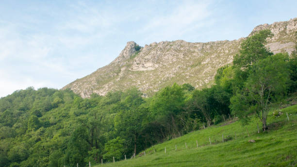 istock Rocky mountain and green meadow 1499001392