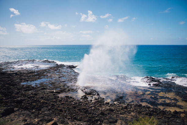 istock View over Spouting Horn in Poipu Beach on Kauai, Hawaii 1499004678