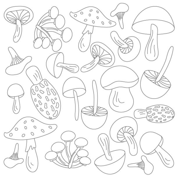 A collection of autumn mushrooms in black and white is isolated on a white background. Mushrooms black line stroke for children's books and coloring books. A collection of autumn mushrooms in black and white is isolated on a white background. little grebe (tachybaptus ruficollis) stock illustrations