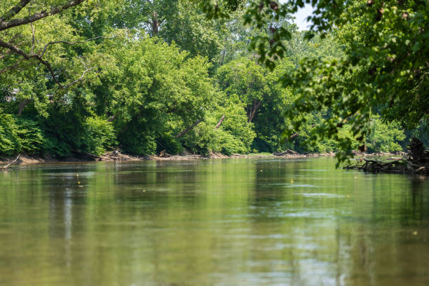 istock Tranquil River Serenity: A Majestic Encounter with Nature 1499014579