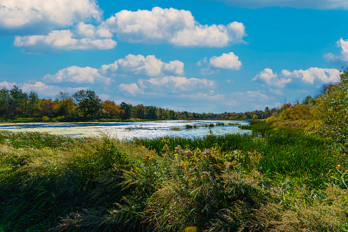Lake scene in national park preserve with puffy clouds