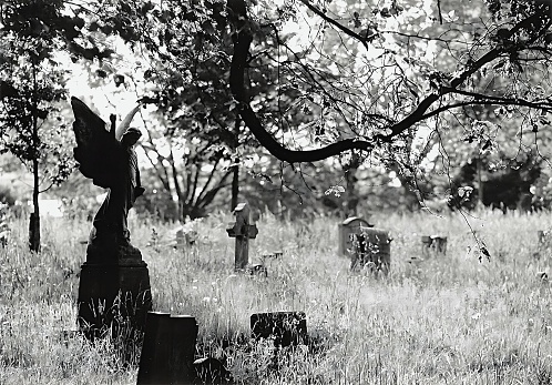 A black and white image of the Old Brompton Cemetery in London