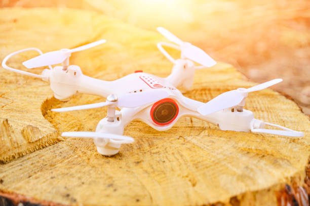 istock Quadcopter landed stump in forest. 1499018899