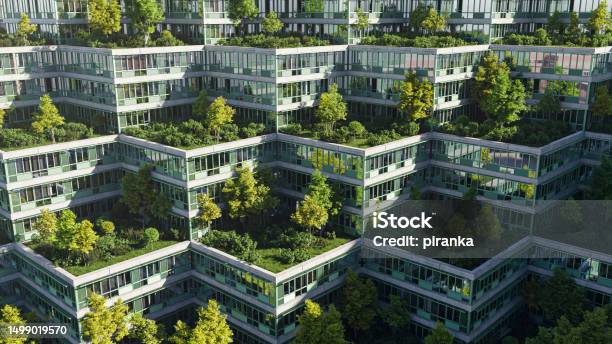 Roof Garden Stock Photo - Download Image Now - Environmental Conservation, City, Green Color