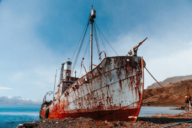 Early 20th century Whaling Wreck. Old rotting whaling ship stranded at the beach of Grytviken, rusting old whaling ship with metal whalling harpoon on the ship front. Abandoned old ghost wreck und sunny blue summer sky. Grytviken, South Georgia Island, Sub Antarctic Islands, British Overseas Territories, UK