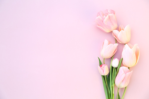 Flowers composition. Pink rose flowers on pastel pink background. Flat lay, top view, copy space.