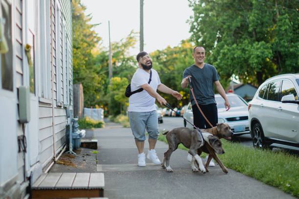 istock Two Affectionate Gay Men Walking With Their Pet Dogs 1499036792