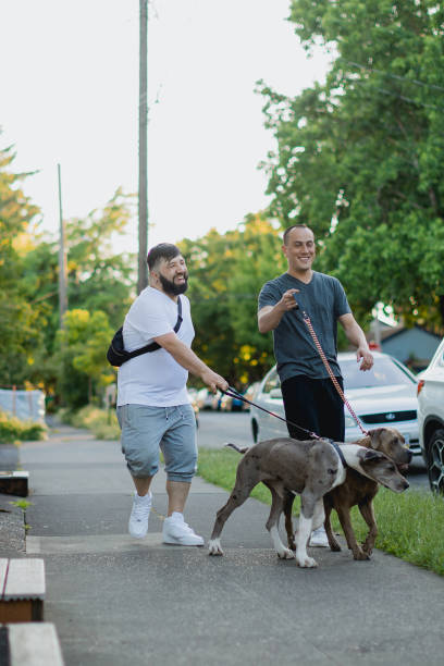istock Two Affectionate Gay Men Walking With Their Pet Dogs 1499036793