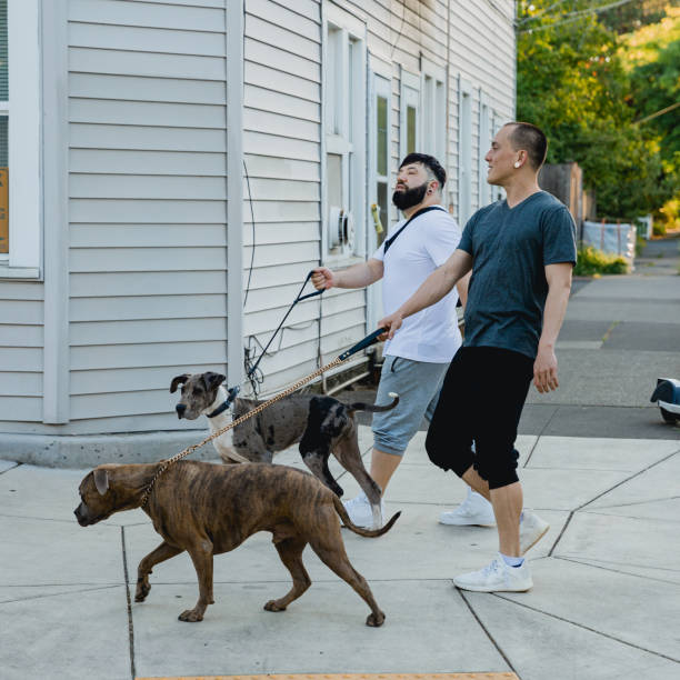 istock Two Affectionate Gay Men Walking With Their Pet Dogs 1499037082