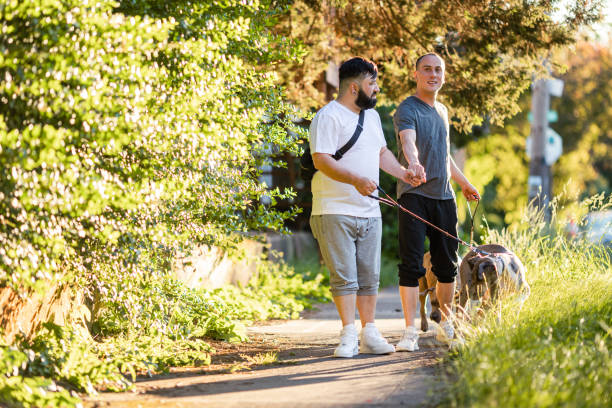 istock Two Affectionate Gay Men Walking With Their Pet Dogs 1499037161