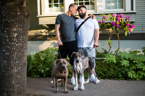 istock Two Affectionate Gay Men Walking With Their Pet Dogs 1499037174