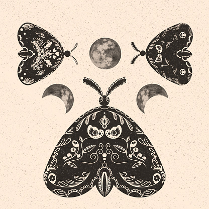 Illustration of Mystical illustration of a butterfly or moth - retro vintage engraving style