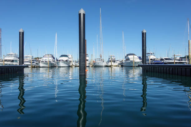 istock Marina pilings reflected in blue water with moored luxury boats 1499039671